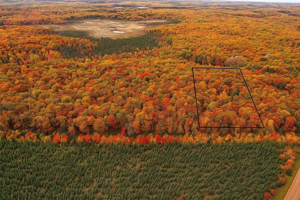 Aerial view - Bayfield County land on the North side.