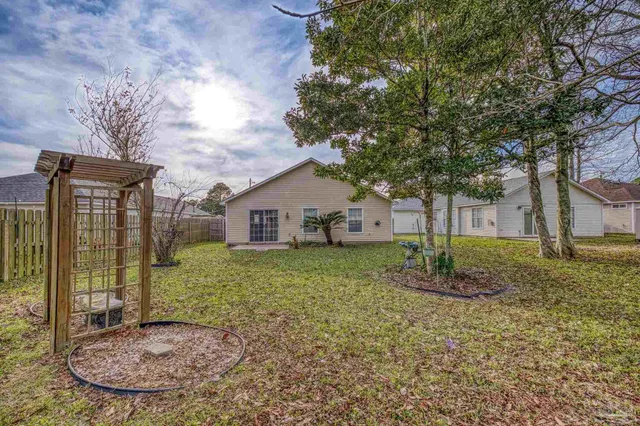 a view of a park with a large tree