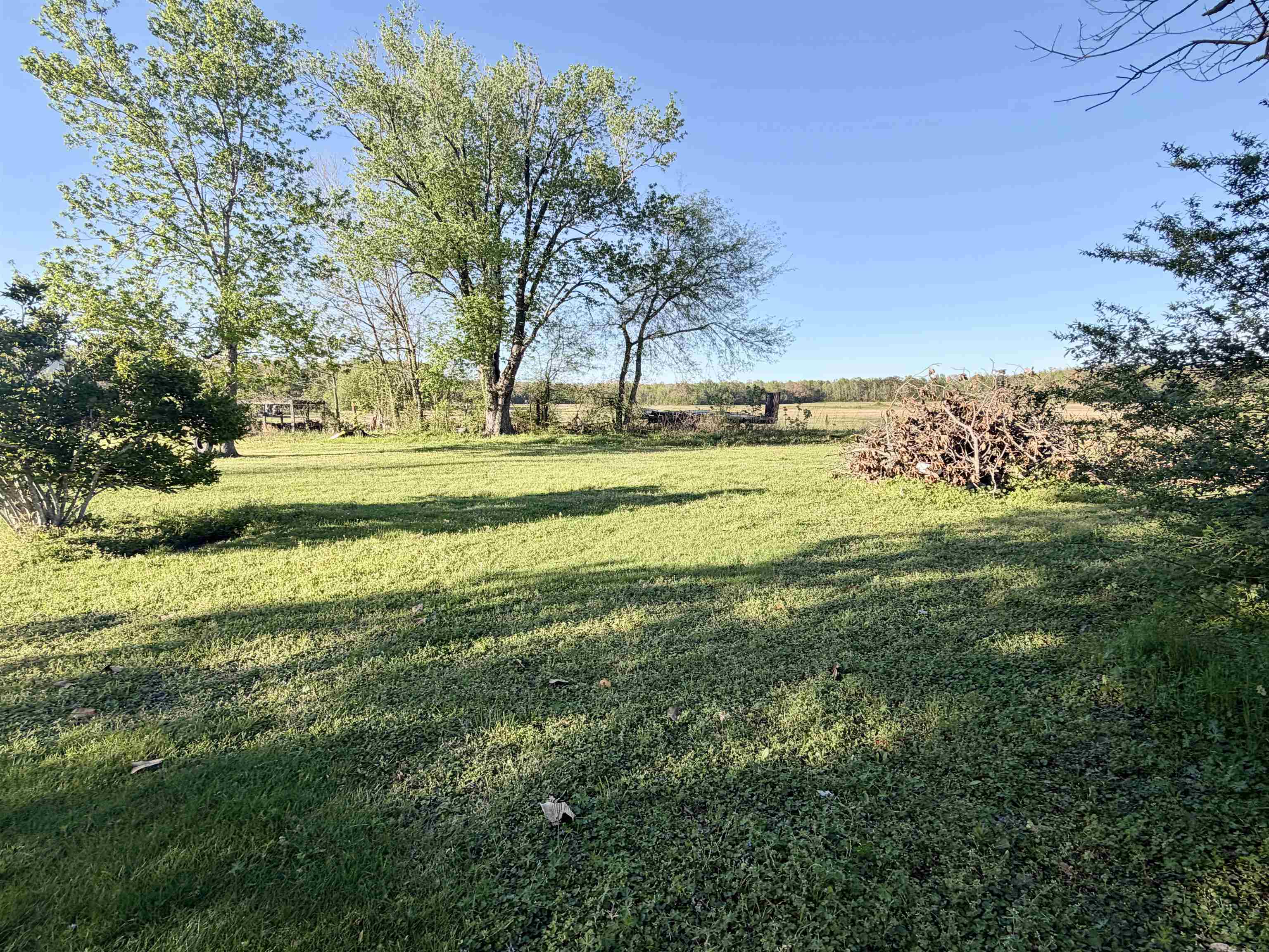 1527 Leapwood Enville Road Adamsville, TN 38310 - Photo 17 of 21