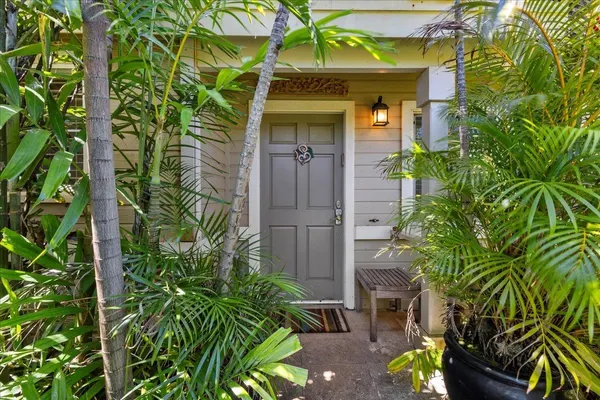 a view of a potted plants in front of a building