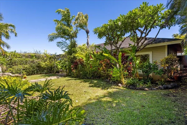 a view of a yard with plants