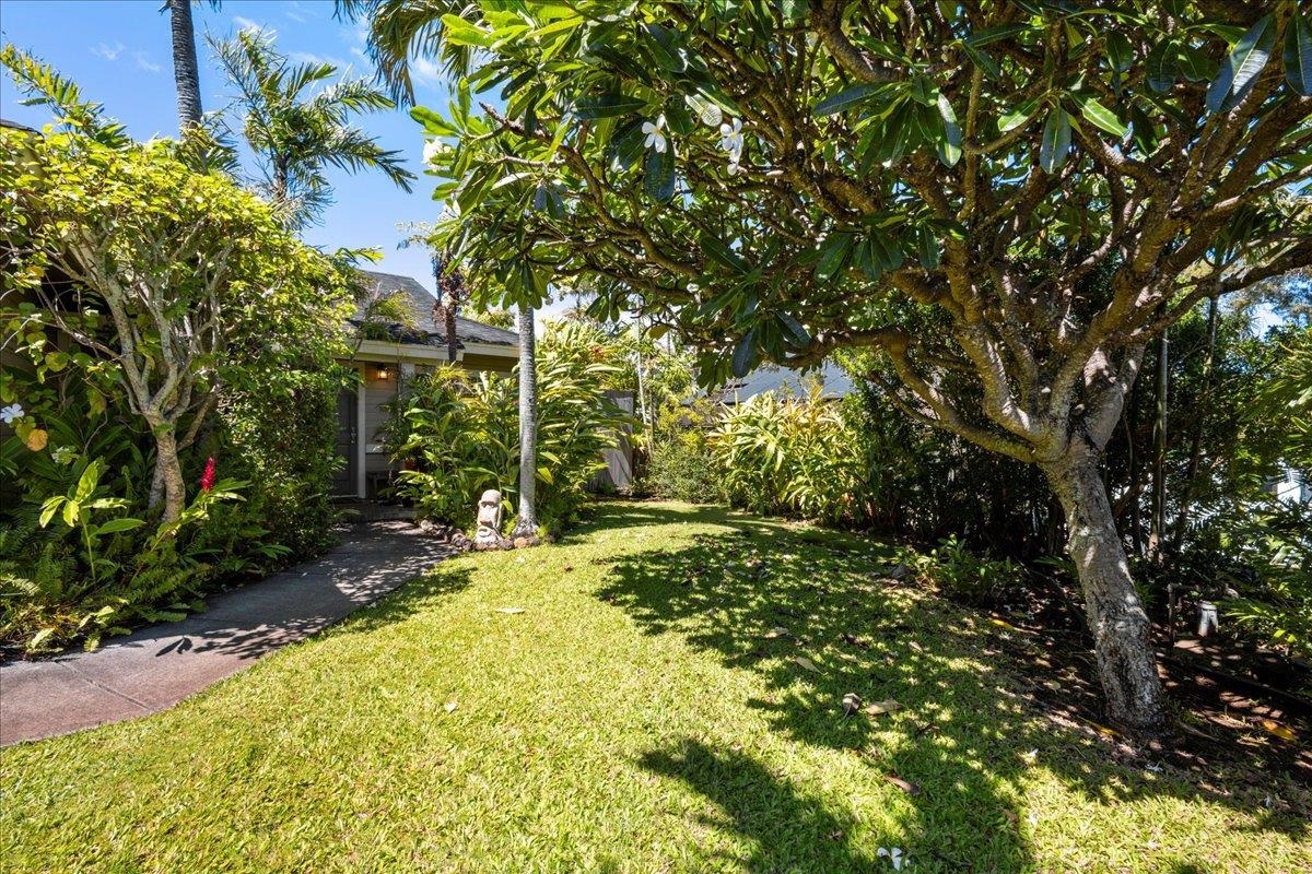 88 Lae Street Paia, HI 96779 - Photo 21 of 39