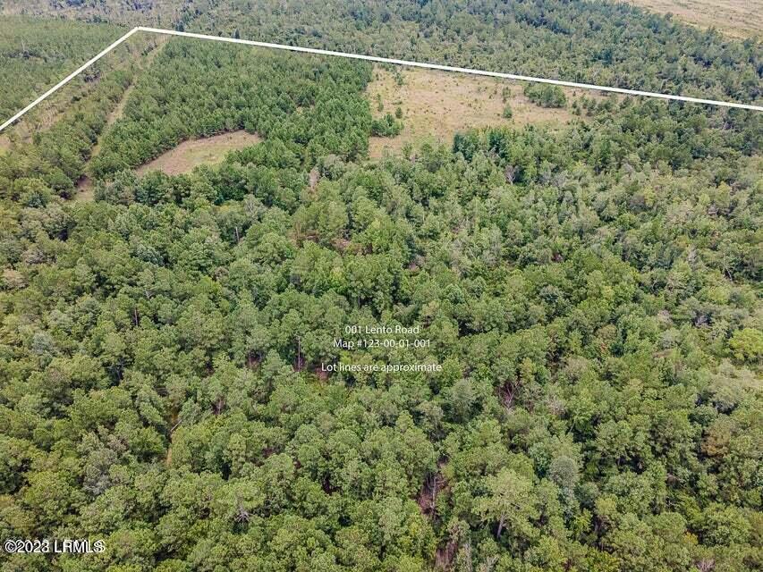 1 Lento Road Varnville, SC 29944 - Photo 1 of 15 20220817195426475956000000-o