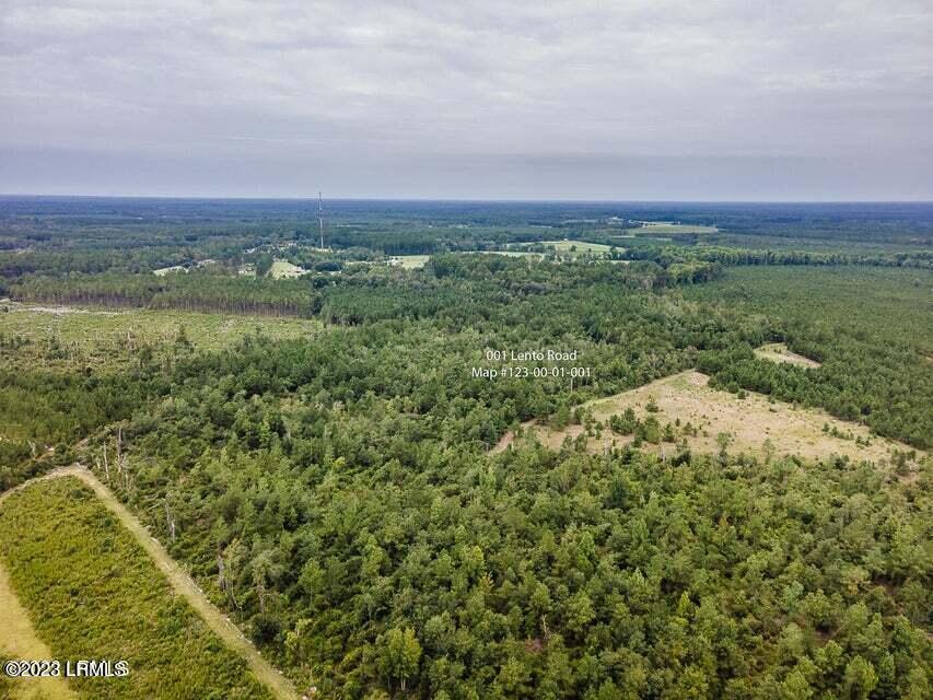 1 Lento Road Varnville, SC 29944 - Photo 12 of 15 20220817195354350049000000-o