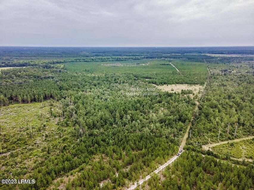 1 Lento Road Varnville, SC 29944 - Photo 13 of 15 20220817195350682613000000-o