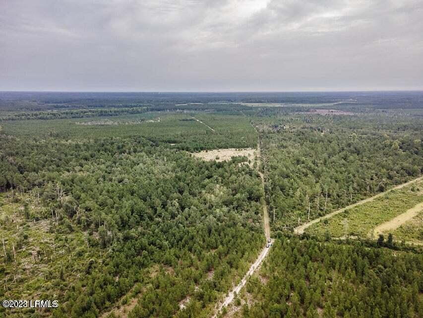 1 Lento Road Varnville, SC 29944 - Photo 14 of 15 20220817195348870151000000-o