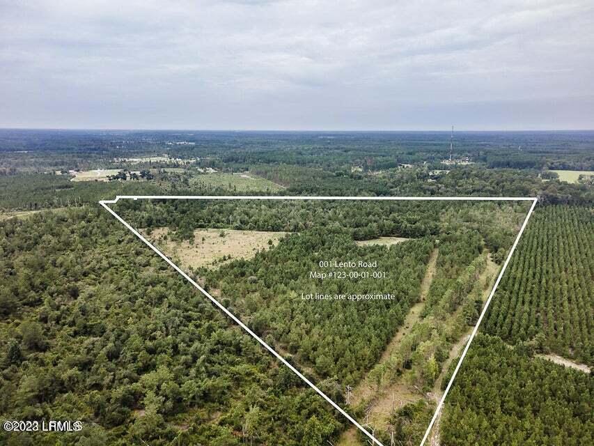 1 Lento Road Varnville, SC 29944 - Photo 3 of 15 20220817195404244407000000-o