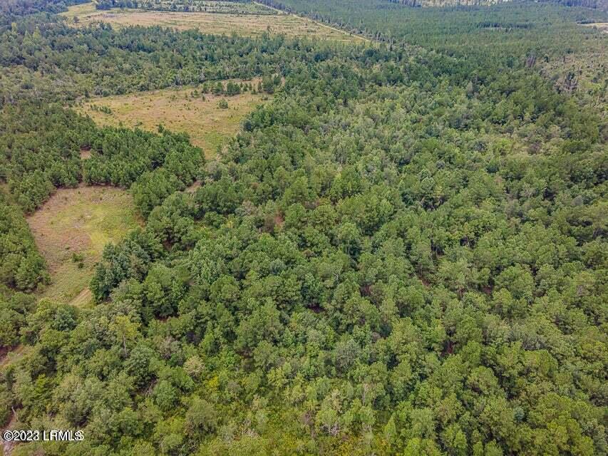 1 Lento Road Varnville, SC 29944 - Photo 4 of 15 20220817195423655449000000-o