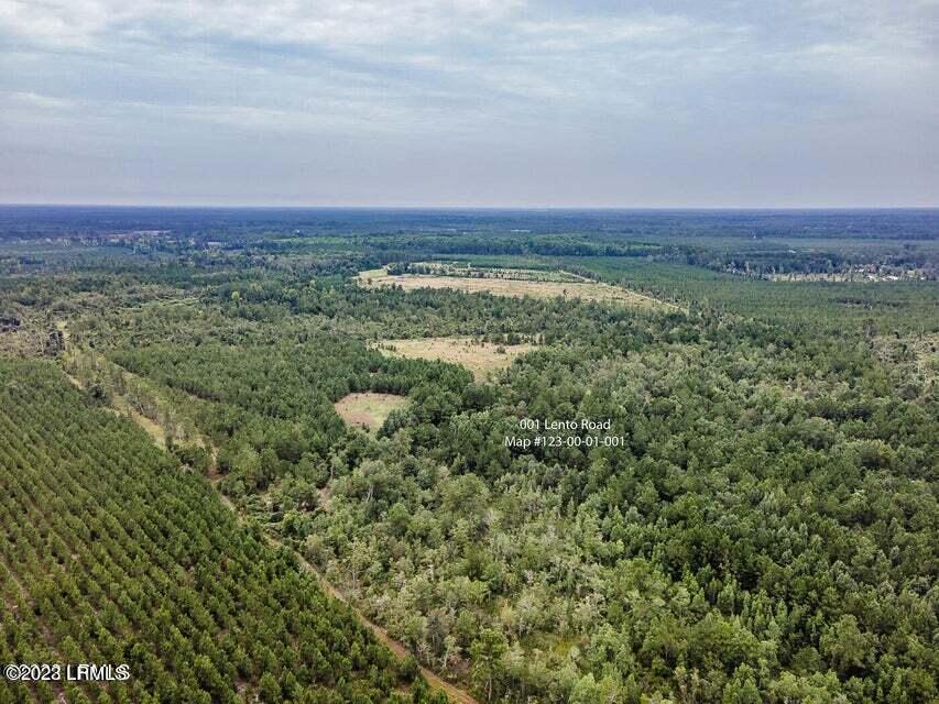 1 Lento Road Varnville, SC 29944 - Photo 5 of 15 20220817195414995178000000-o