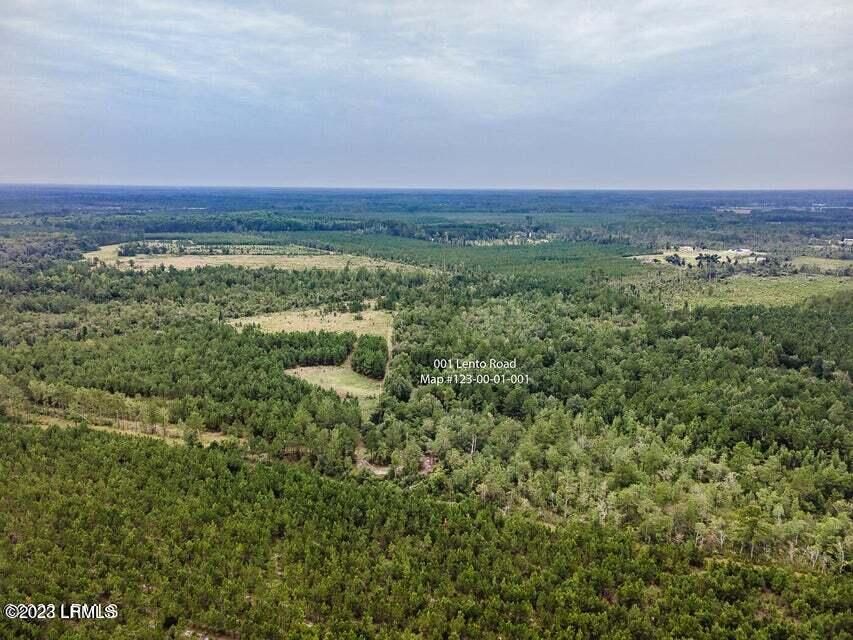 1 Lento Road Varnville, SC 29944 - Photo 6 of 15 20220817195410076470000000-o