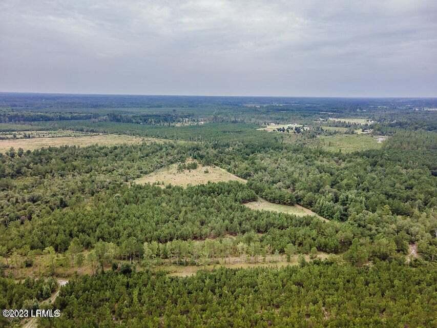 1 Lento Road Varnville, SC 29944 - Photo 7 of 15 20220817195408048441000000-o