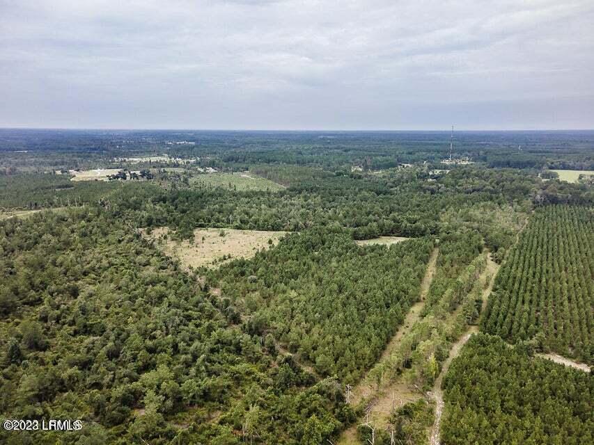 1 Lento Road Varnville, SC 29944 - Photo 8 of 15 20220817195402404801000000-o