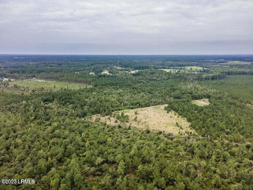 1 Lento Road Varnville, SC 29944 - Photo 9 of 15 20220817195400079833000000-o