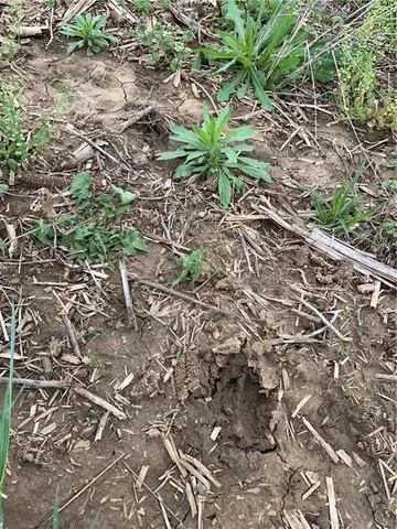 $190,000 | 7830 Barkertown Road, Odessa, MO 64076