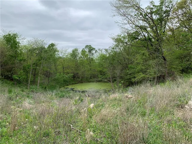 $190,000 | 7830 Barkertown Road, Odessa, MO 64076