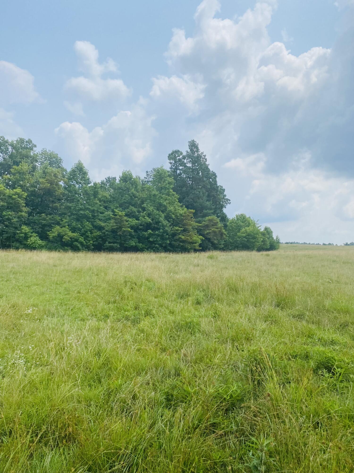 9999 Jim Brown Road Campton, KY 41301 - Photo 6 of 28 IMG_4699