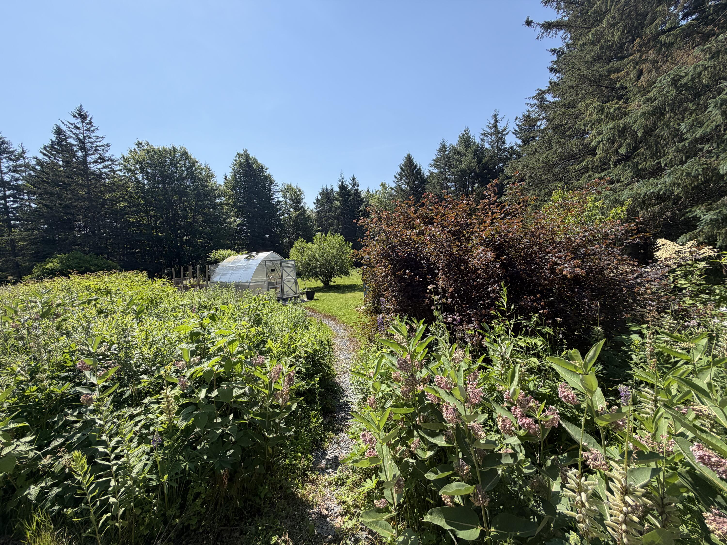 98 Bagaduce Road Sedgwick, ME 04676 - Photo 56 of 61 IMG_2290