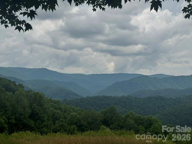 0 Sugar Lf Mountain Road Marshall, NC 28753 - Photo 3 of 5