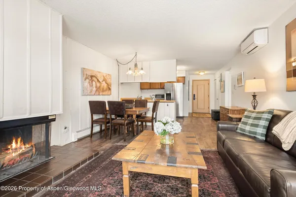 $20,000 | 205 East Durant Avenue, Unit 3G, Aspen, CO 81611
