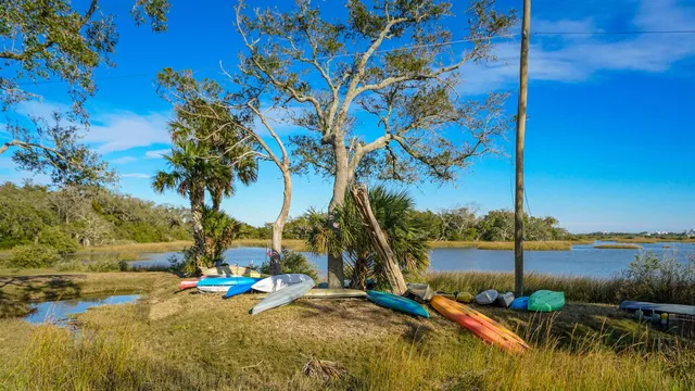a view of a lake with a palm tree