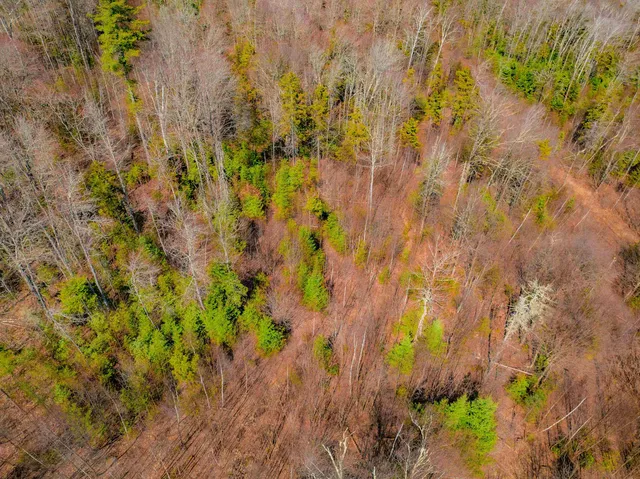 $168,000 | Ellsworth Hill Road, Campton, NH 03223