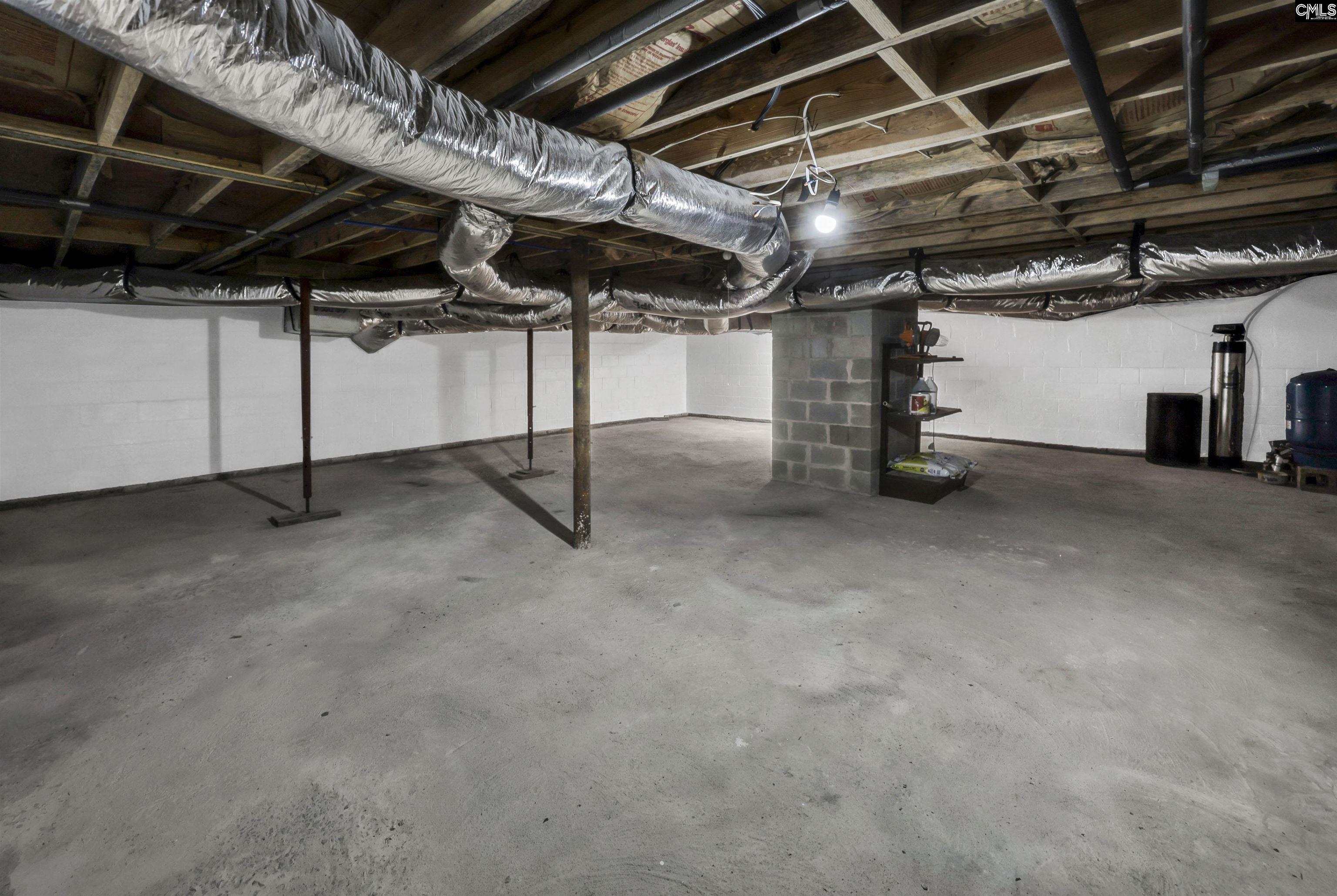 412 Murray Lindler Road Chapin, SC 29036 - Photo 45 of 47