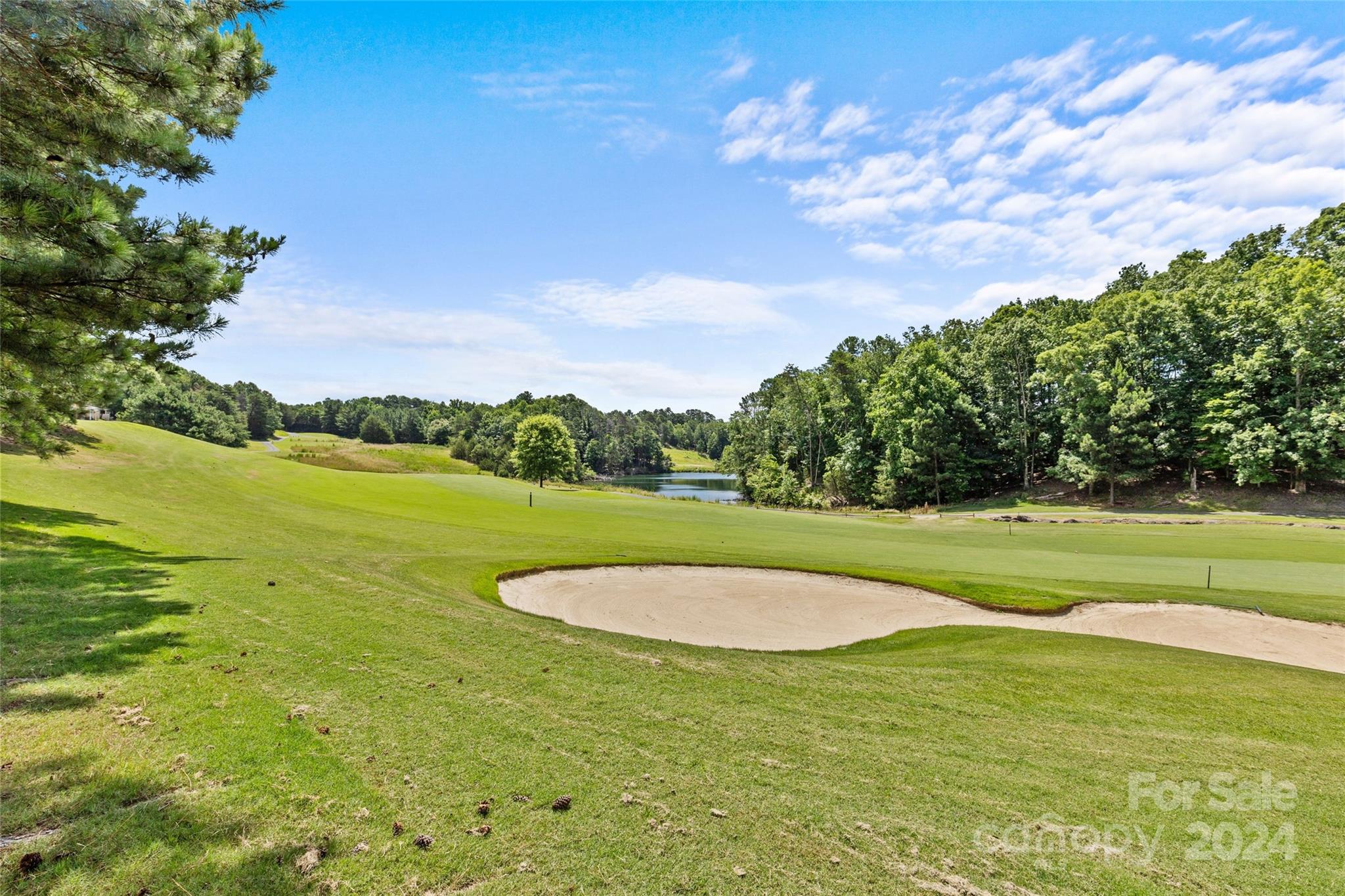 1034 Silver Gull Drive Tega Cay, SC 29708 - Photo 31 of 32 a view of a lake with a big yard