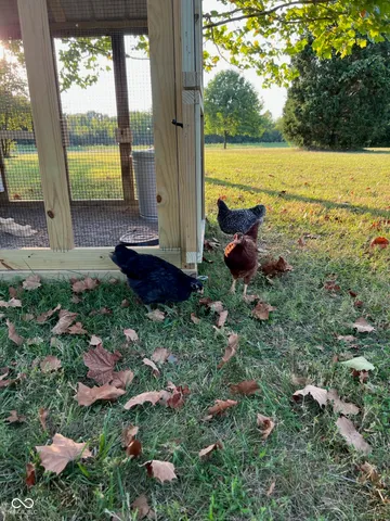 $975,000 | 12734 North Waters Edge Drive, Camby, IN 46113