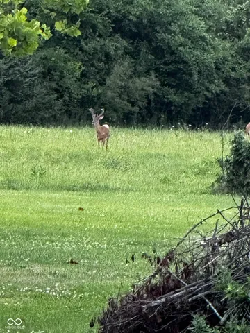 $975,000 | 12734 North Waters Edge Drive, Camby, IN 46113