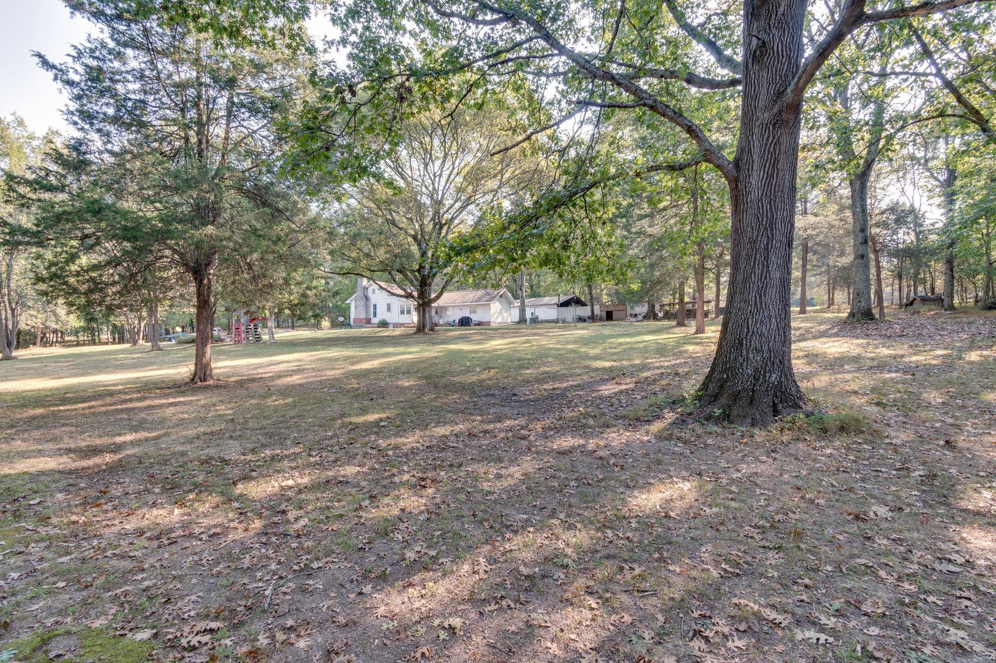 1452 Iron Bridge Road Columbia, TN 38401 - Photo 13 of 19 a view of a tree in the middle of a yard