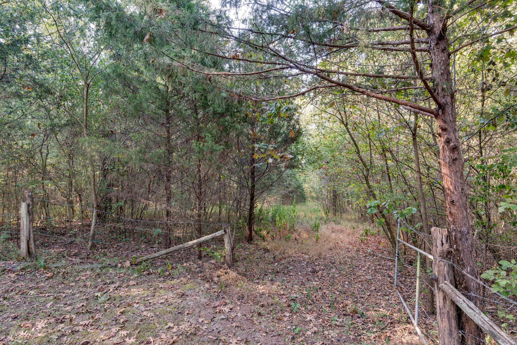 1452 Iron Bridge Road Columbia, TN 38401 - Photo 14 of 19 a backyard of a house with lots of green space
