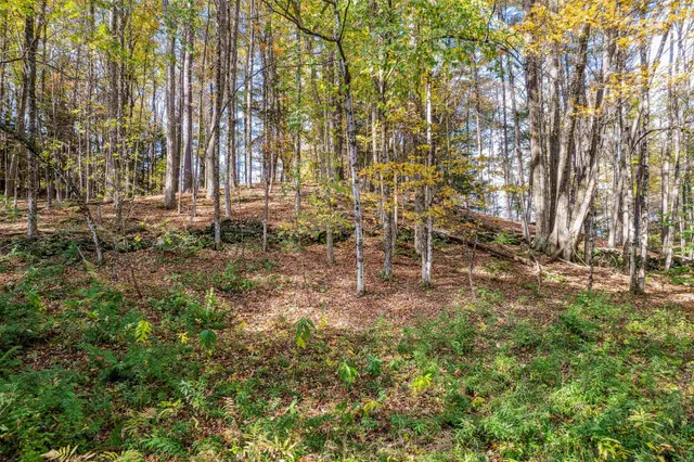 $1,200,000 | 17 Linden Hill Street, Woodstock, VT 05091