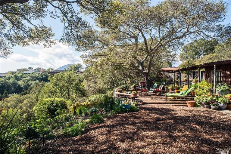 267 Bret Harte Road San Rafael, CA 94901 - Photo 1 of 1 a view of a patio with table and chairs under an umbrella
