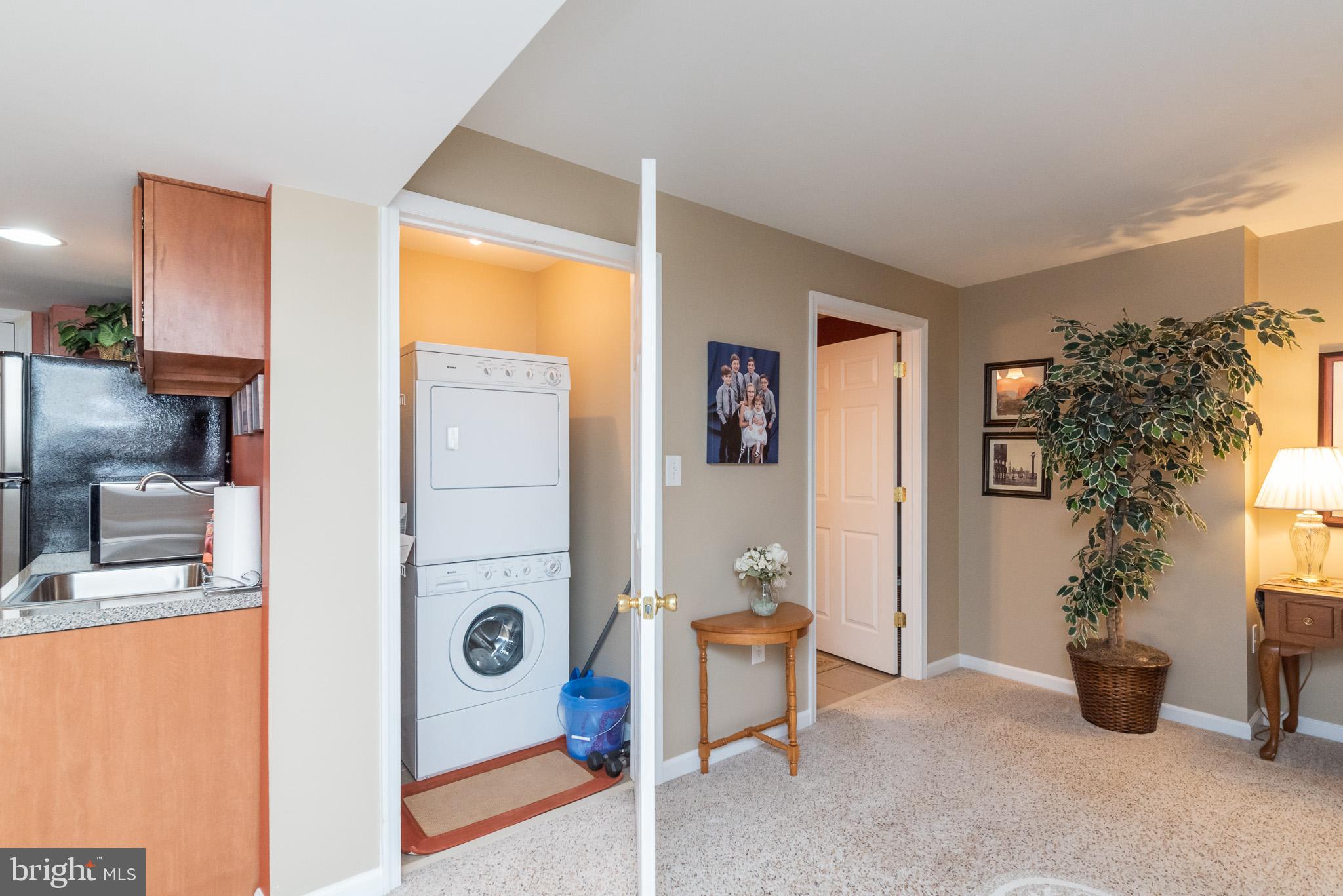 52 South View Road Rising Sun, MD 21911 - Photo 62 of 73 Lower Level Laundry