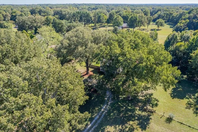 a view of a trees with a yard
