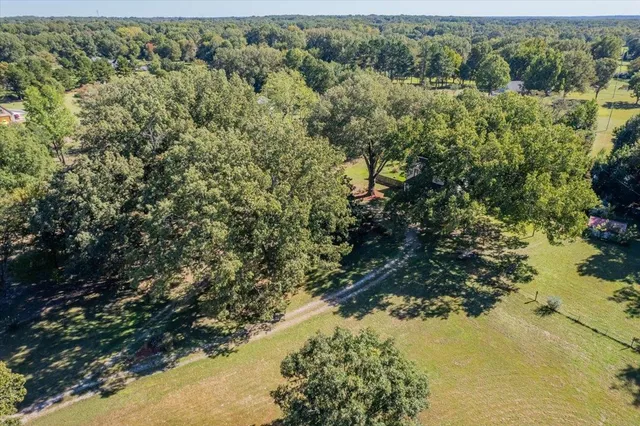 a view of a forest with a lake