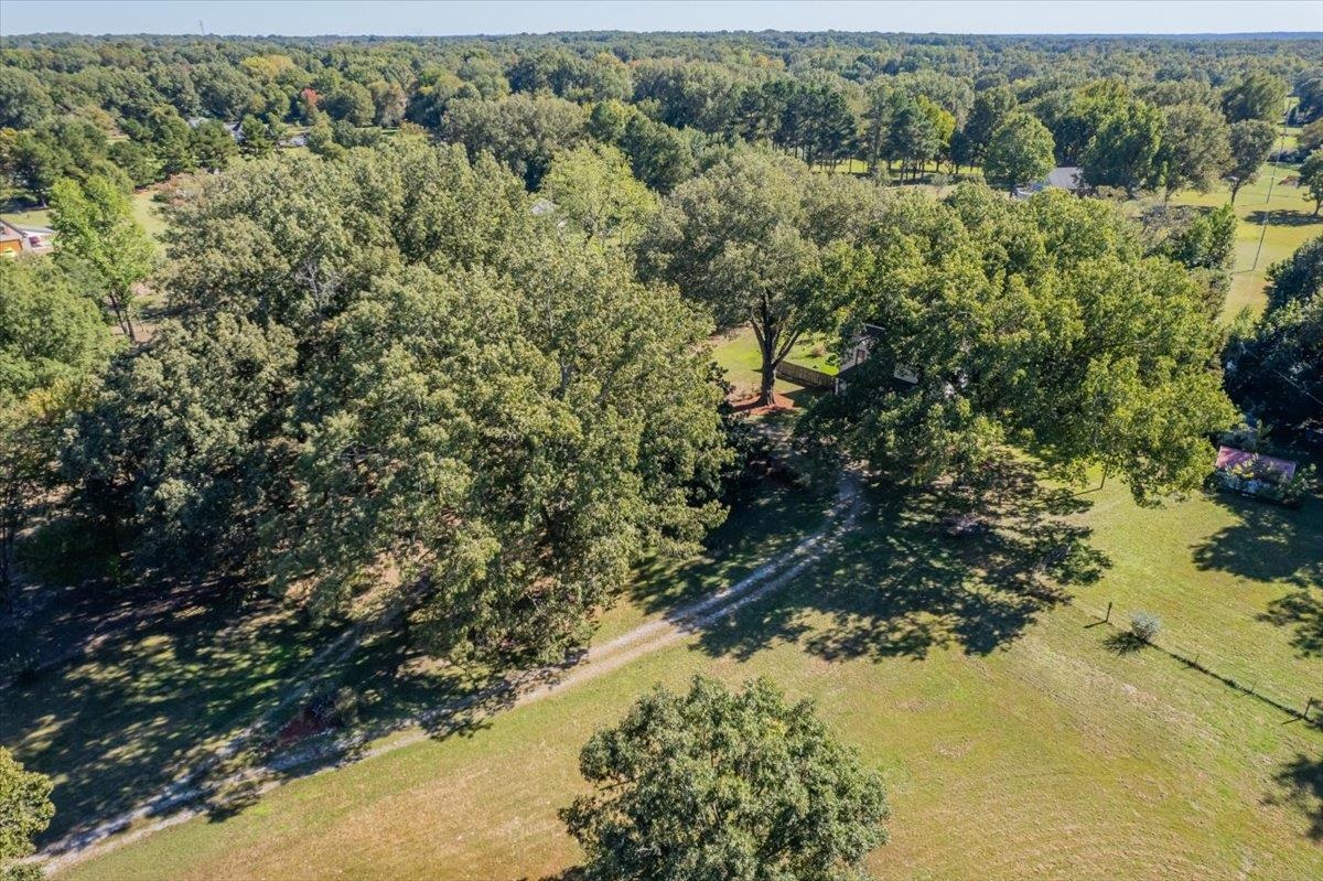 9301 Osborn Road Arlington, TN 38002 - Photo 28 of 31 a view of a forest with a tree