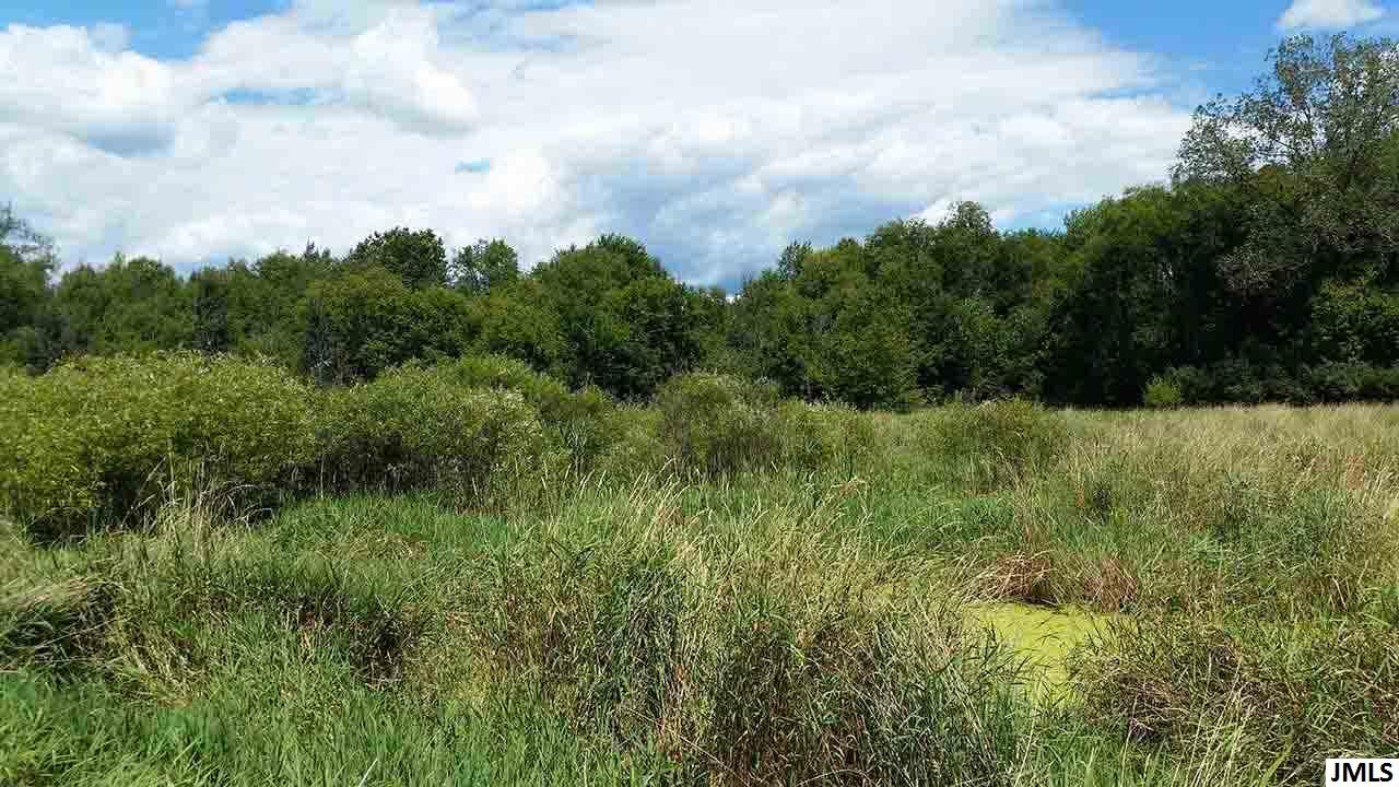 0 Dunn Road Munith, MI 49259 - Photo 15 of 26 Photo 15