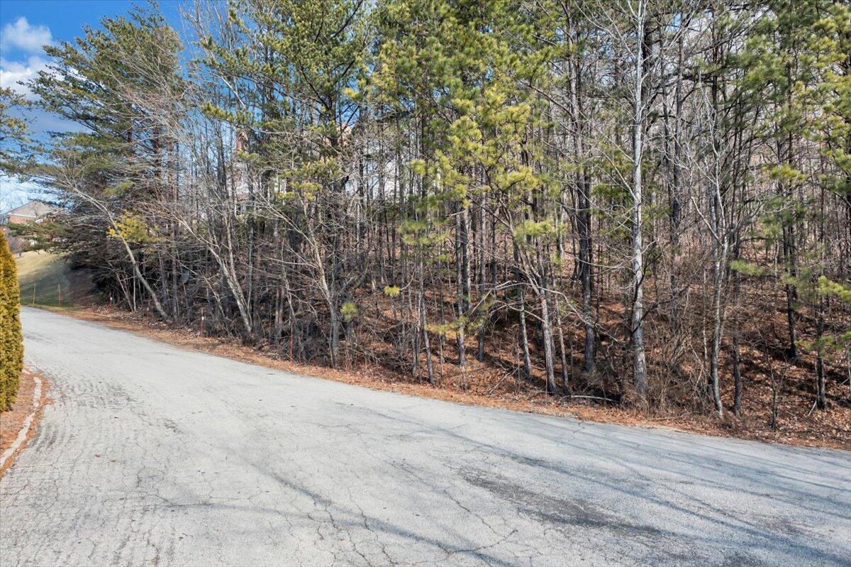 5316 Fox Den Road Roanoke, VA 24018 - Photo 6 of 28 06-DJI_0126