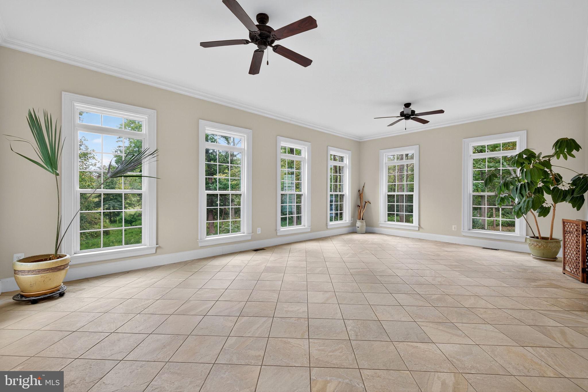 22011 Beaverdam Drive Ashburn, VA 20148 - Photo 104 of 106 a view of an empty room with a window and potted plants