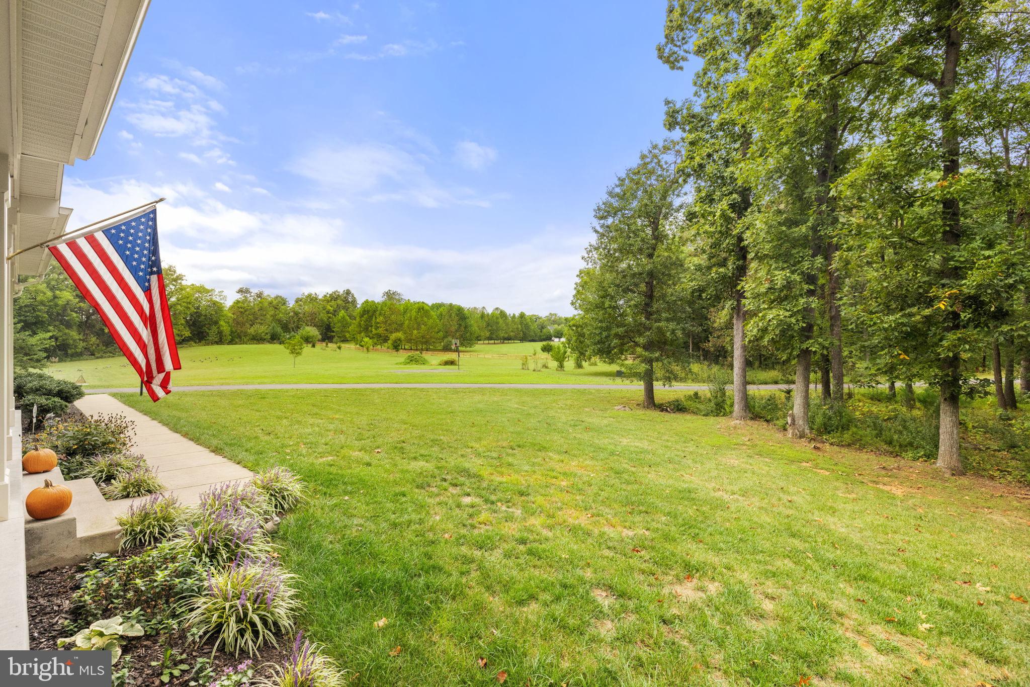 22011 Beaverdam Drive Ashburn, VA 20148 - Photo 12 of 106 View of the groomed grounds from the front porch
