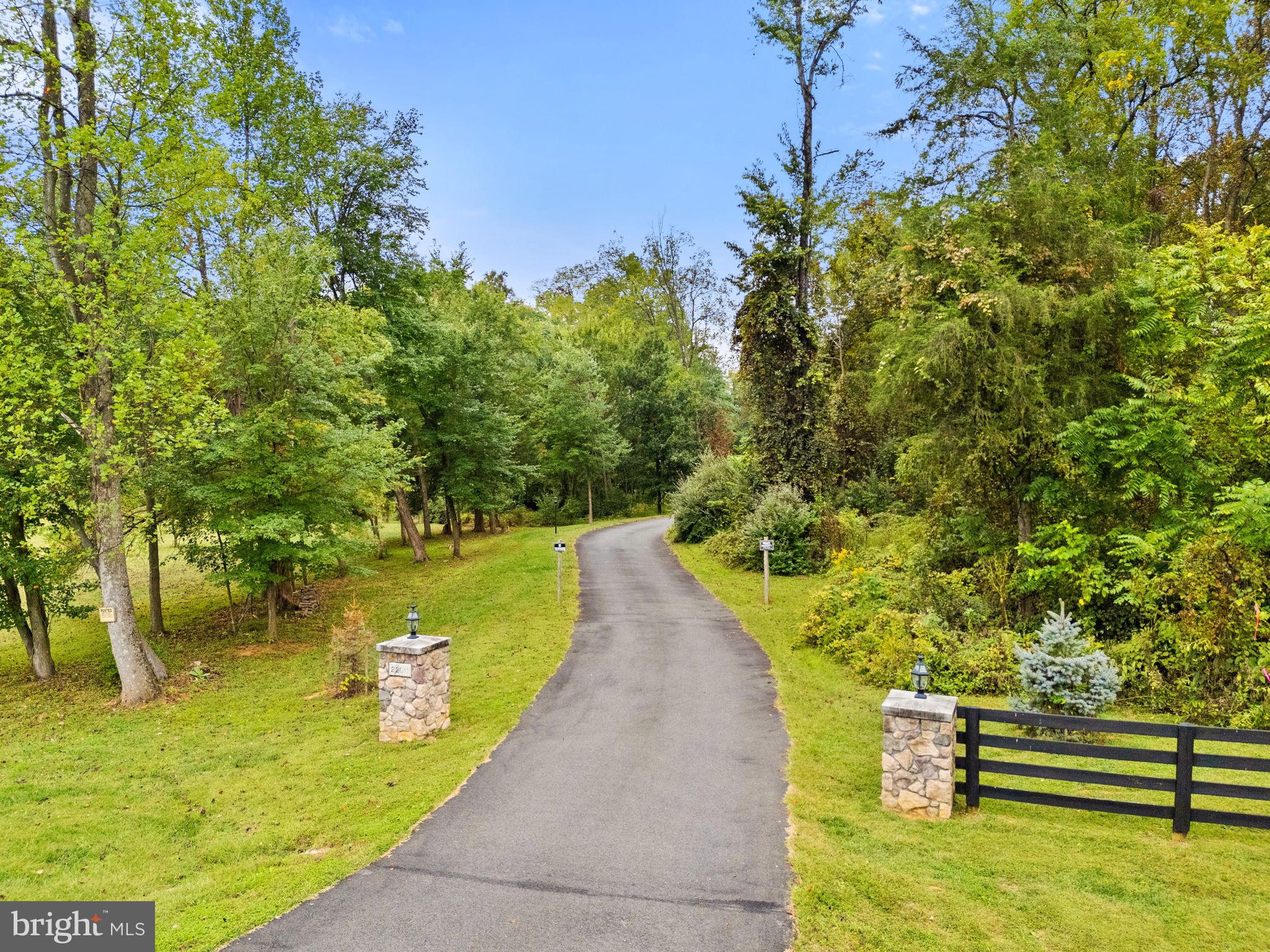 22011 Beaverdam Drive Ashburn, VA 20148 - Photo 3 of 109 Serene driveway through lush greenery.