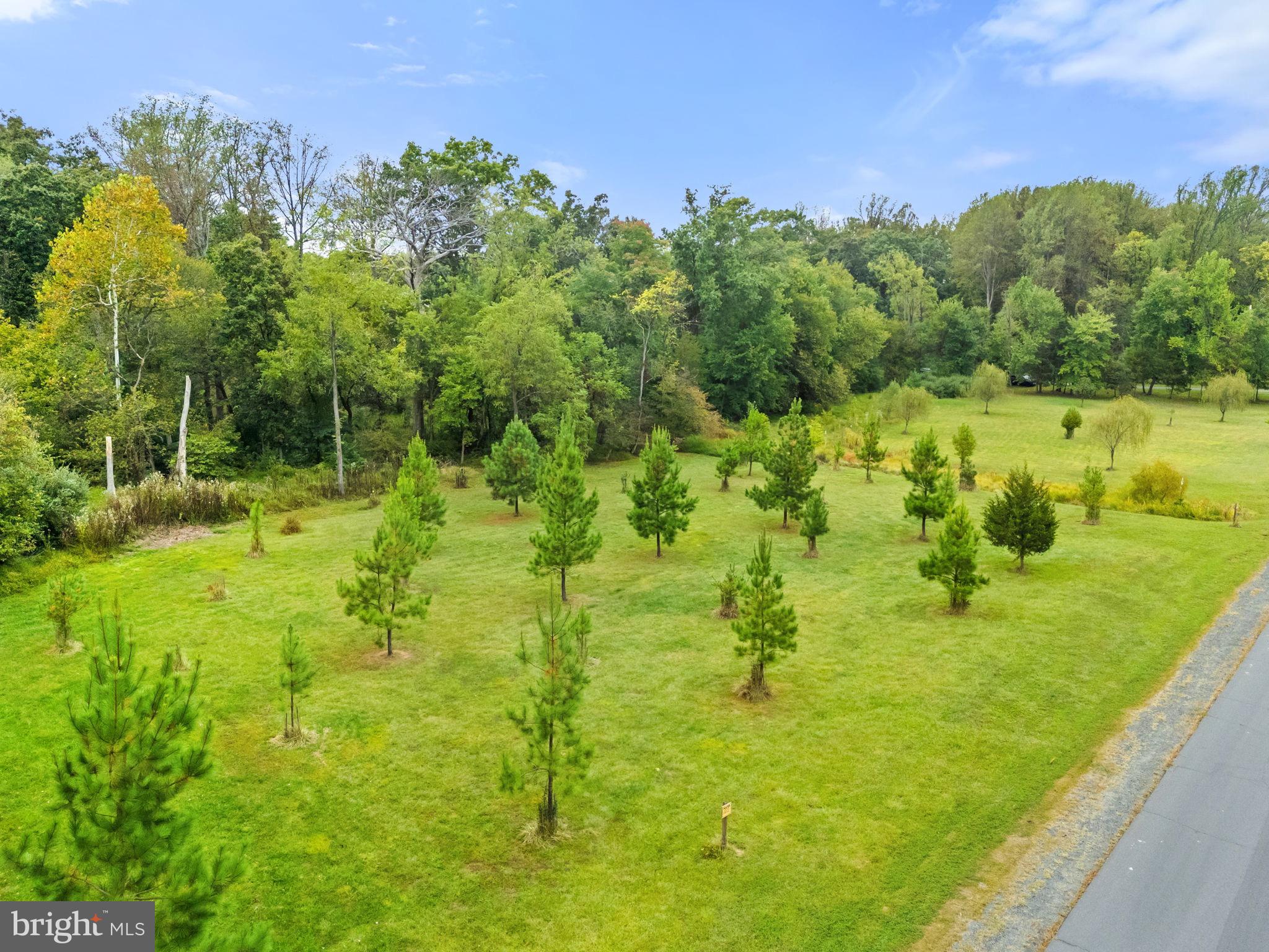22011 Beaverdam Drive Ashburn, VA 20148 - Photo 5 of 106 Lush green landscape with thriving saplings.