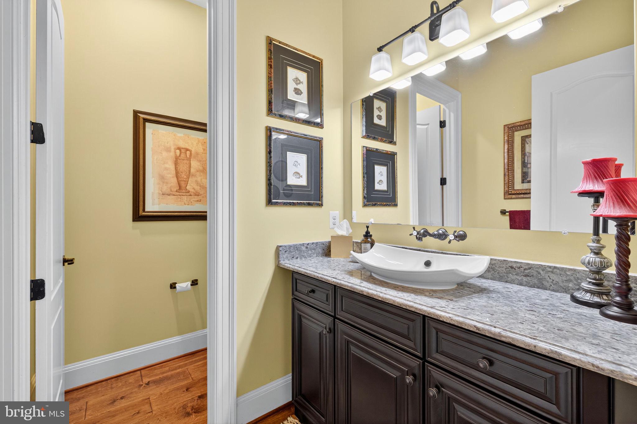 22011 Beaverdam Drive Ashburn, VA 20148 - Photo 51 of 106 Main level half-bath with stylish decor.