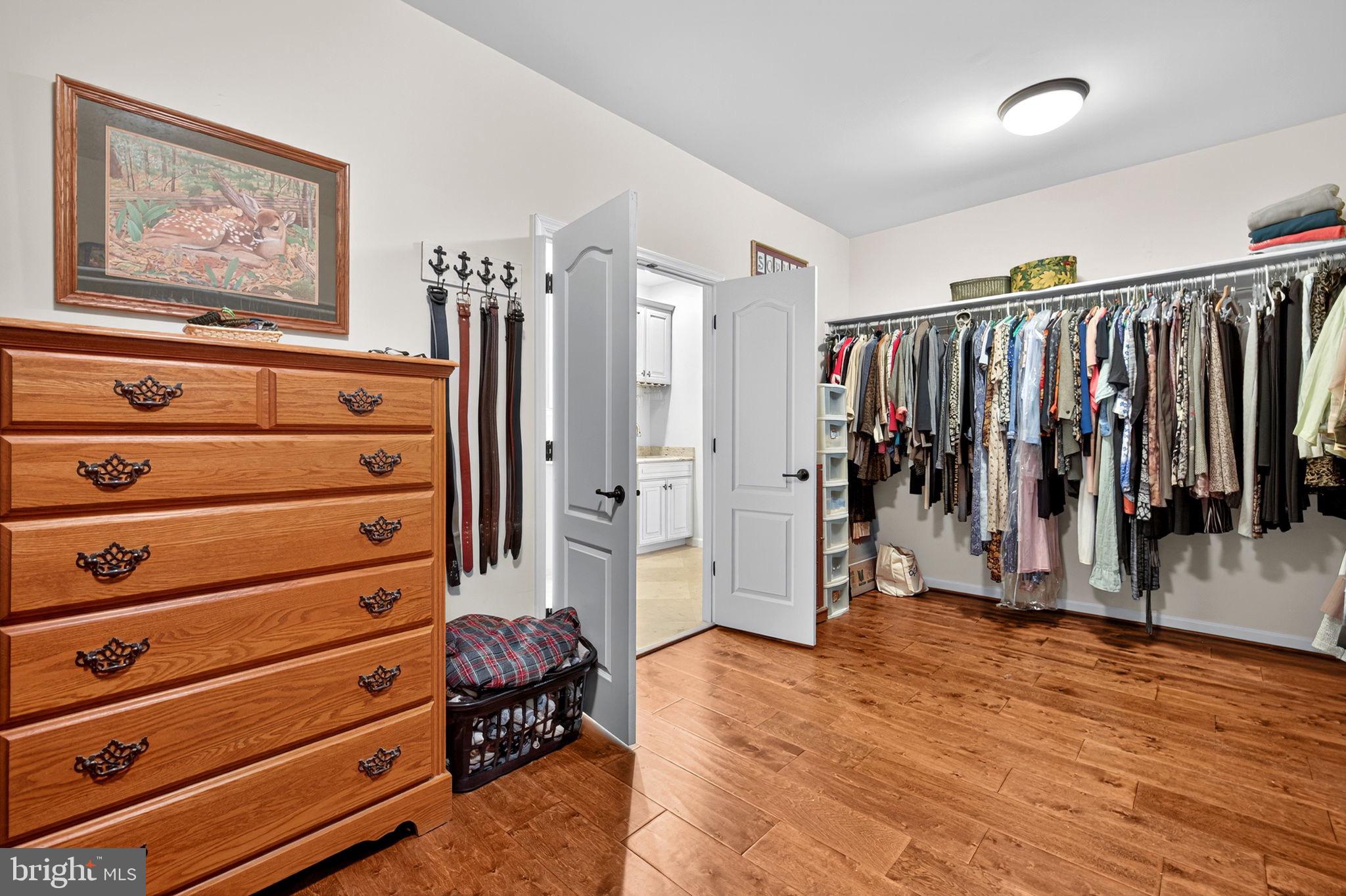 22011 Beaverdam Drive Ashburn, VA 20148 - Photo 73 of 109 Spacious closet with organized elegance.