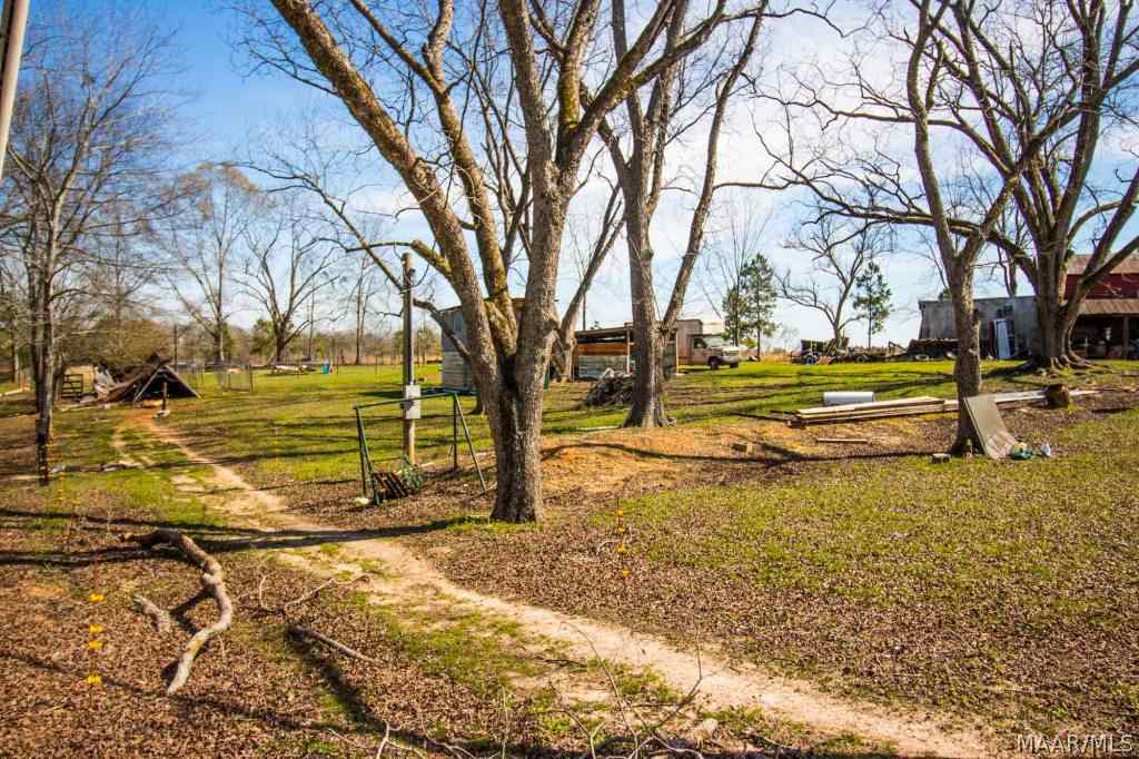 2395 Noma Road Slocomb, AL 36375 - Photo 24 of 25 Gallery Image 24