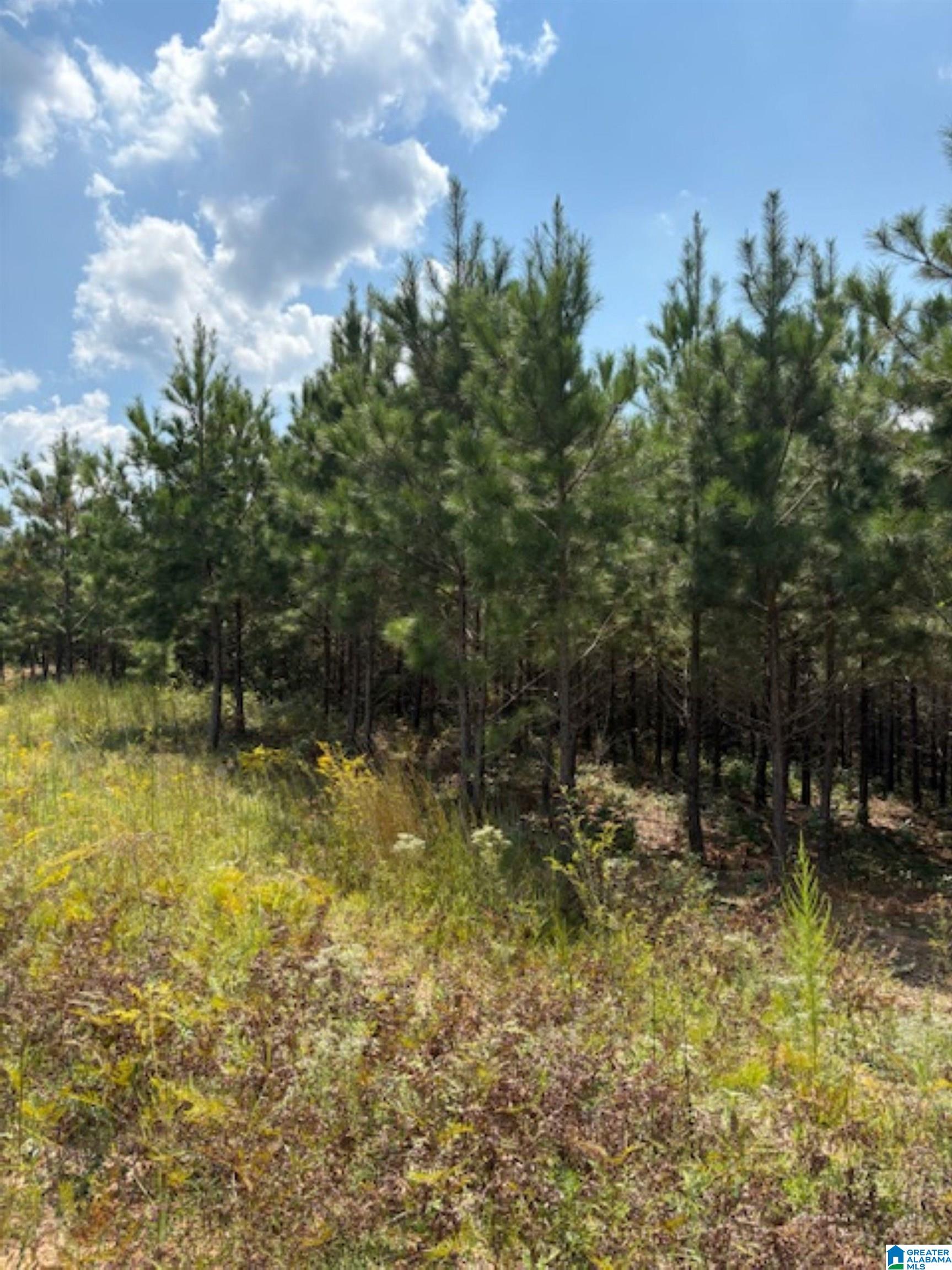 472 County Road, Unit 4 Clanton, AL 35045 - Photo 3 of 6