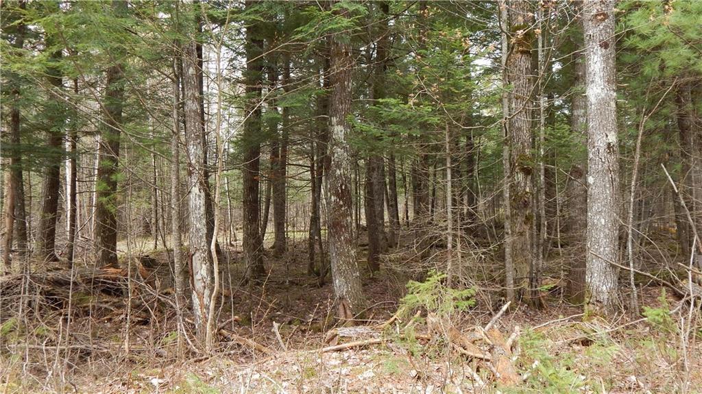 0 Red Farm Road Milo, ME 04463 - Photo 12 of 26 Photo