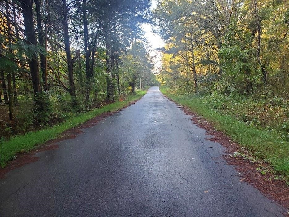 a view of a road with a trees in the background
