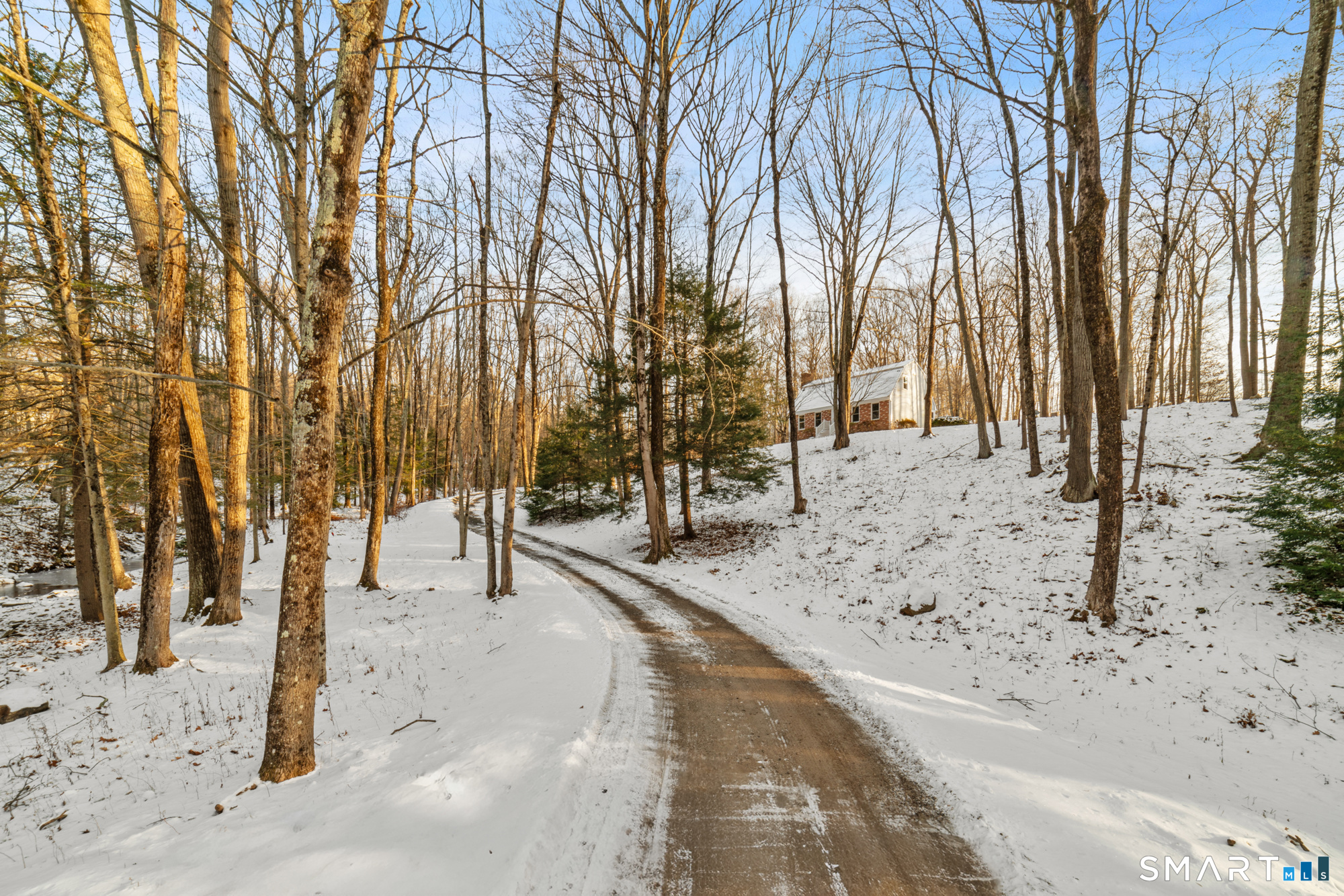 Front yard and driveway